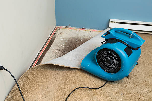 Best Residential water damage restoration  in Harsville, RI